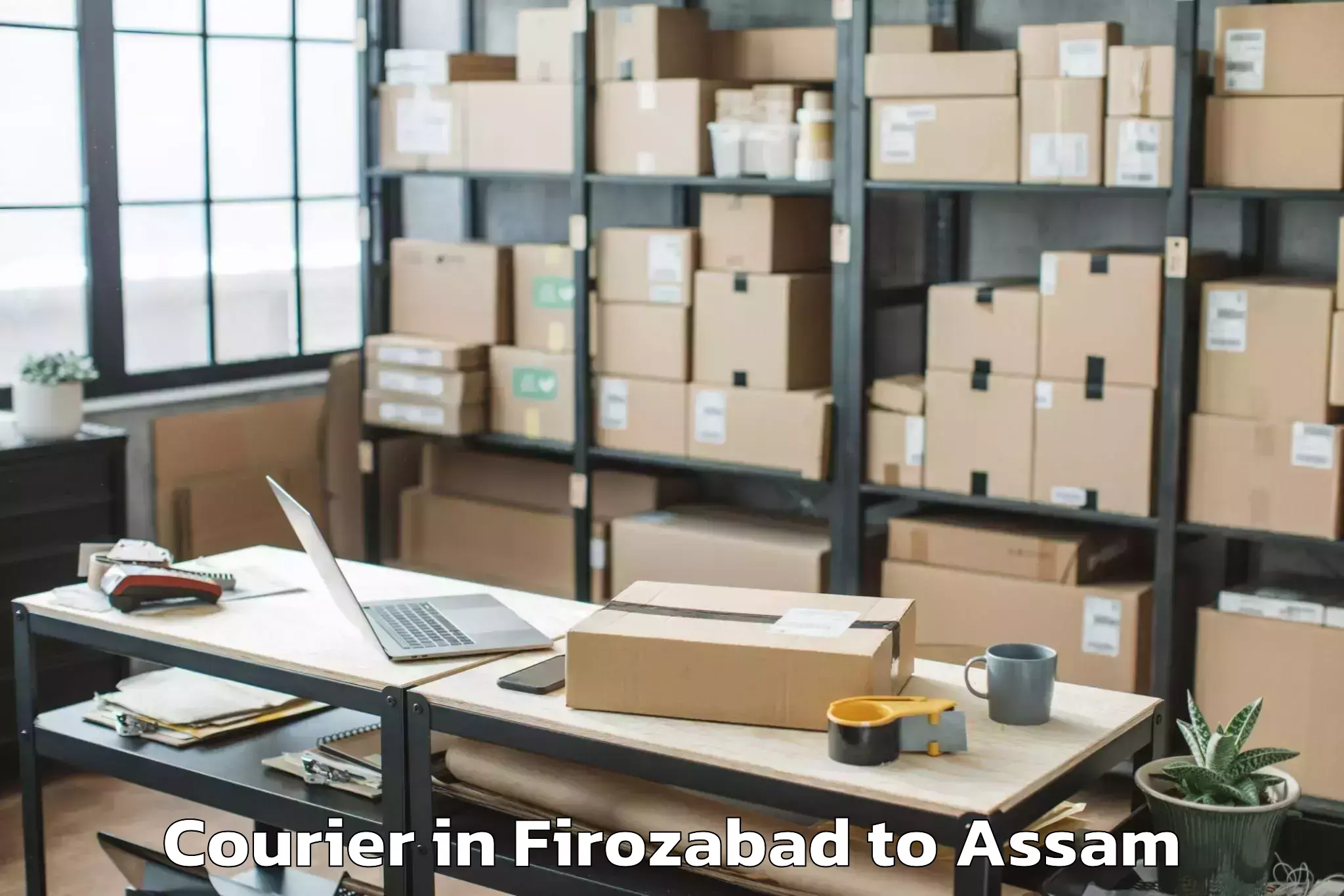 Hassle-Free Firozabad to Rajapara Khatajuli Courier